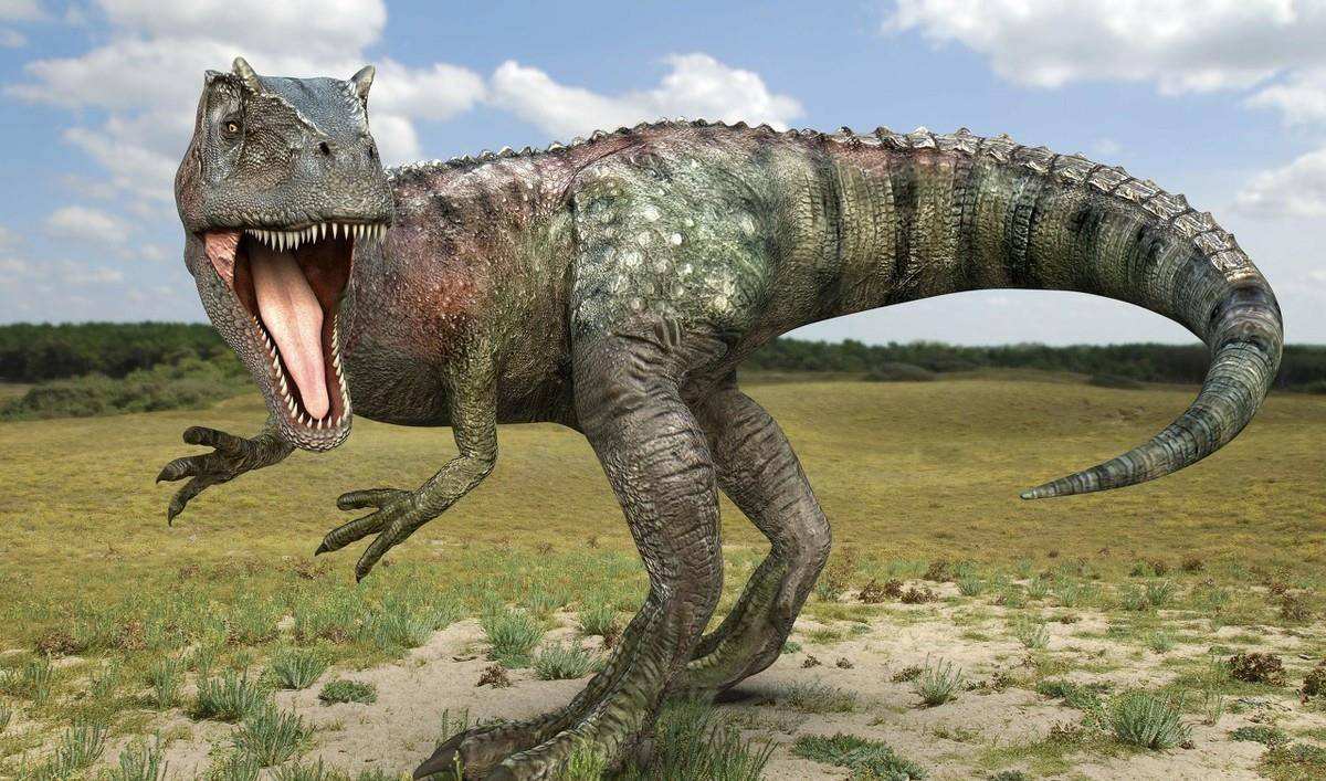 刚果恐龙1981年照片 刚果恐龙事件的真相