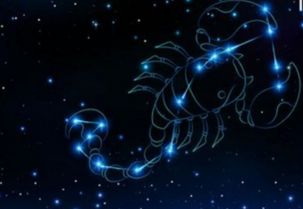 11月22号属于什么星座