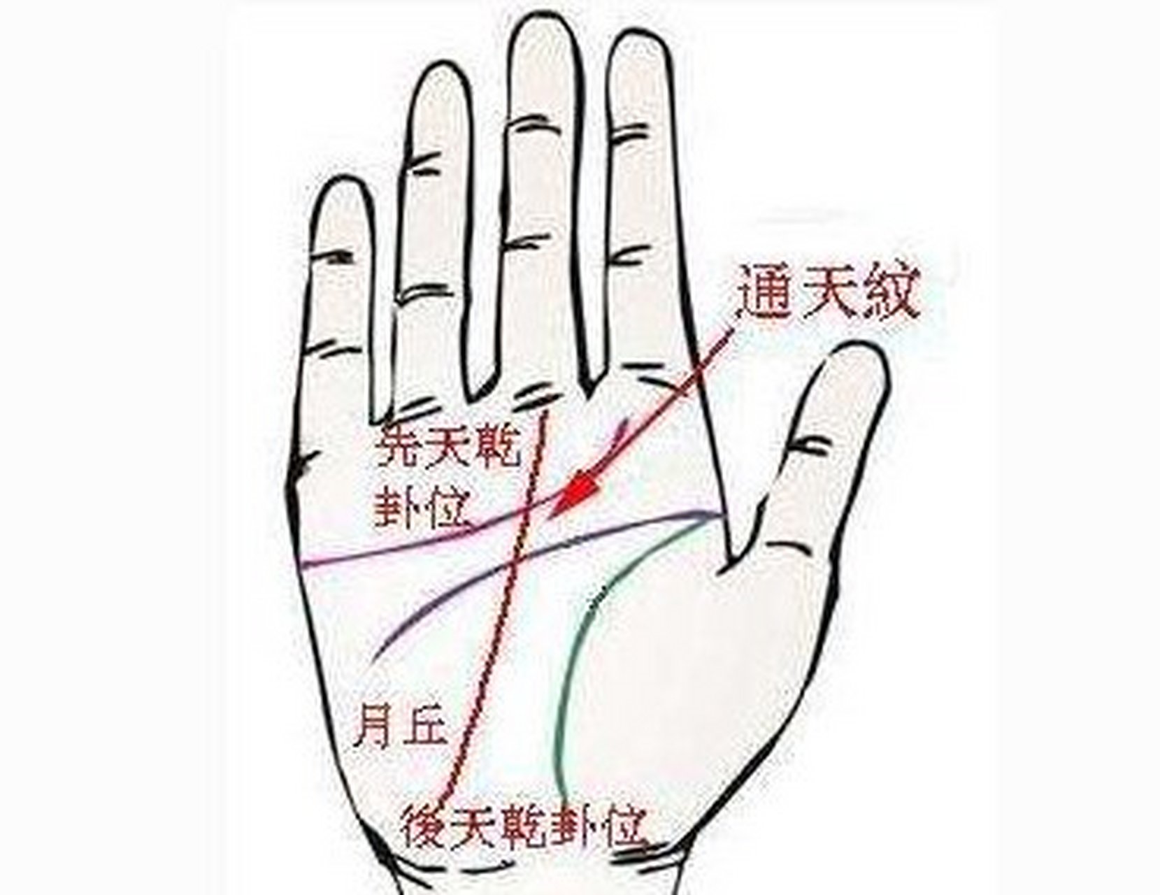 手相图解大全 教你手相看运程