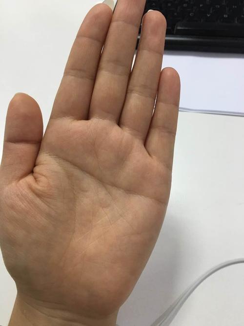 掌纹的秘密全图解