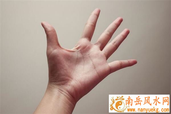 手相算命图解