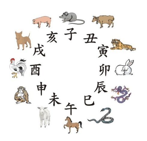 十二生肖排序