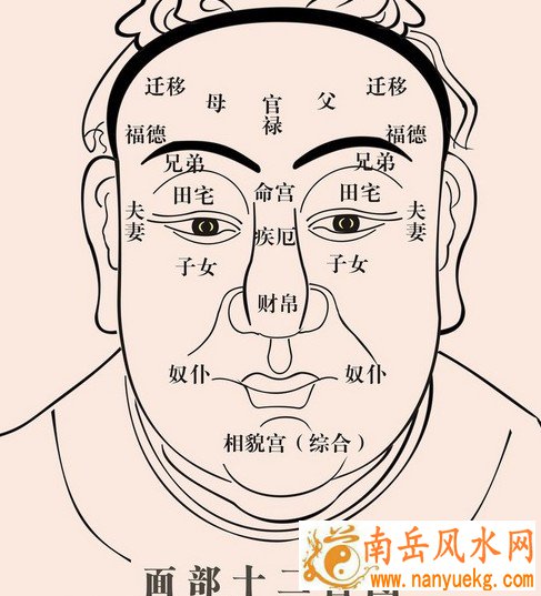 男人的十种富贵面相悬针纹