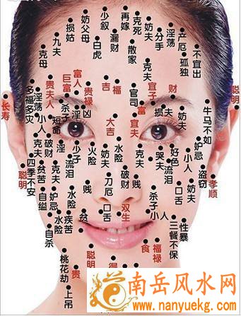 长痣面相图