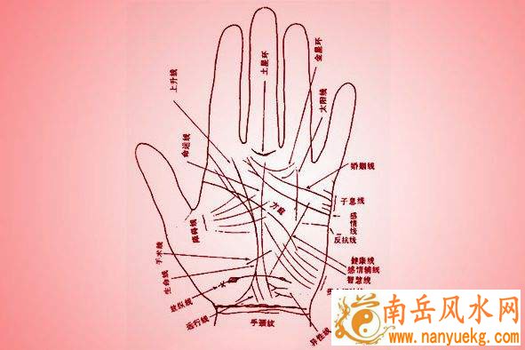 怎么看手相