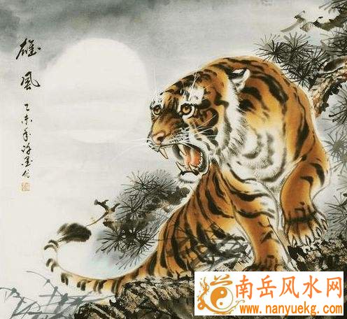属虎的今年多大