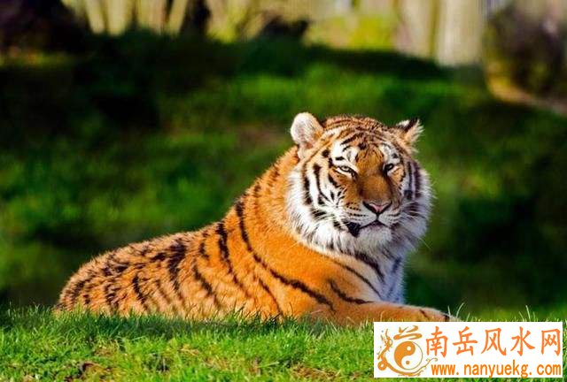 74年属虎48岁2022劫难