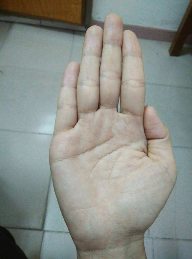 女人手相算命图解财运