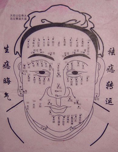 痣相图解淫荡痣