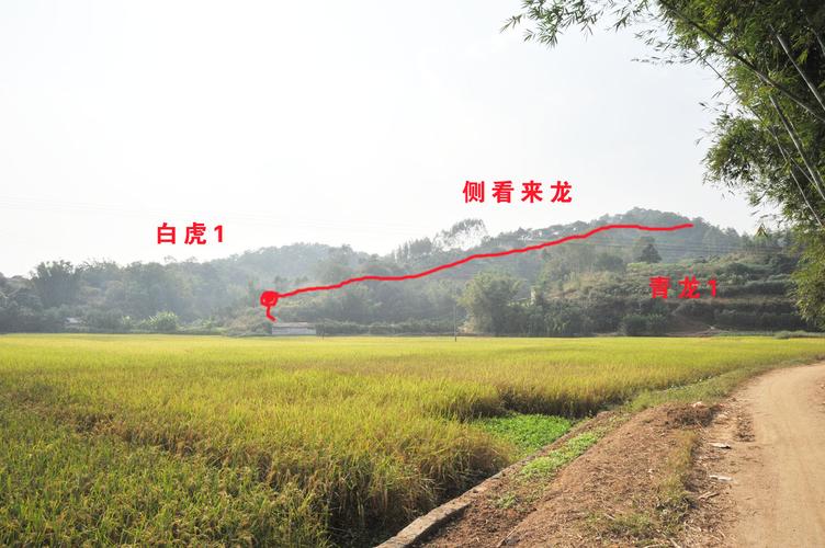 阴宅风水对人的影响有多大 阴宅风水好坏怎样看
