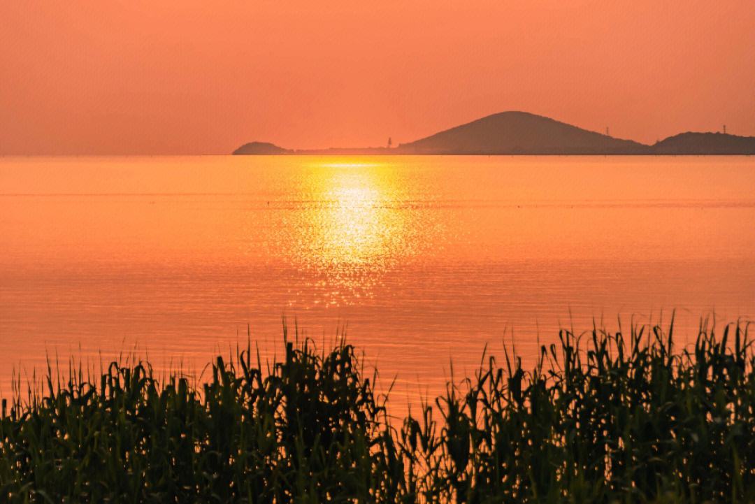 太湖冤魂事件图片