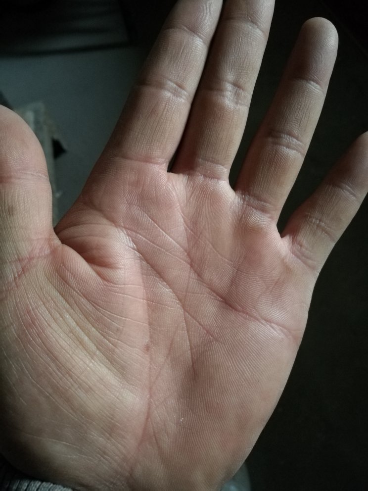 男人手相图解:男人手相图解大全