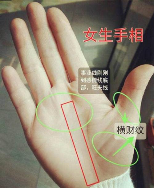 手相图解女右手