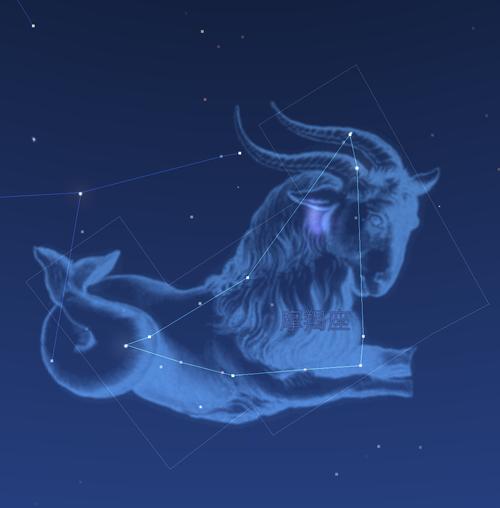 魔蝎座和什么座最配