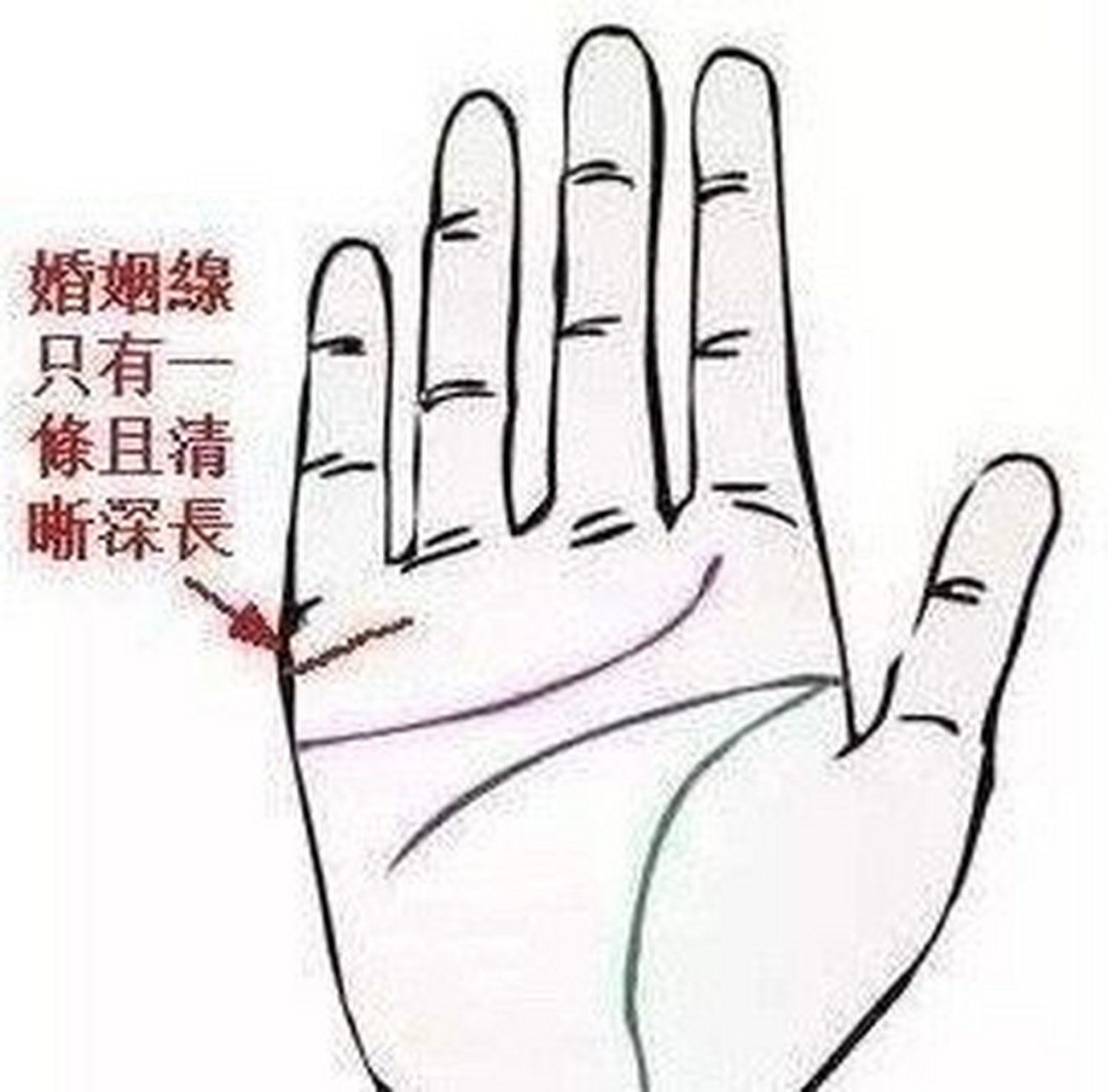 手相图解婚姻线