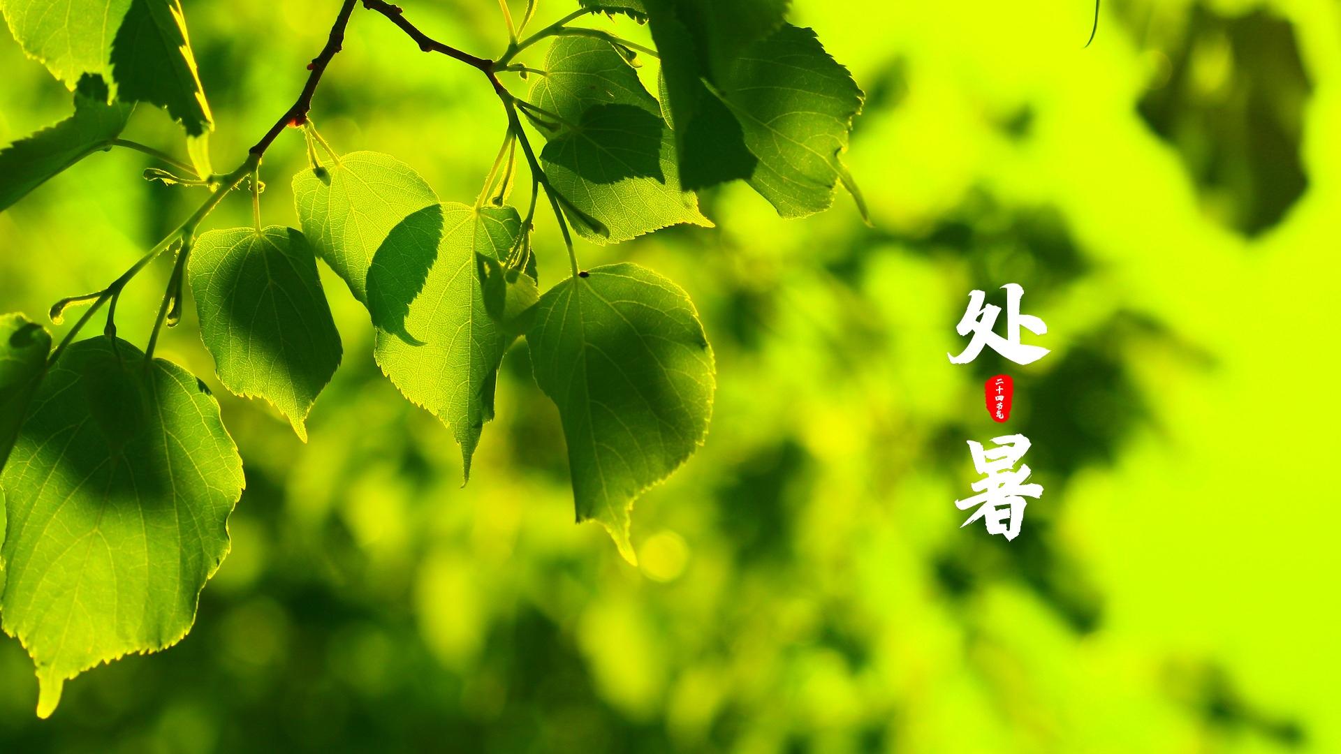 处暑是什么意思呢