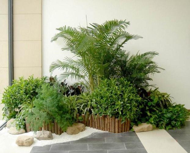植物风水:植物摆放风水禁忌
