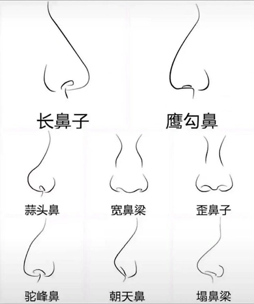 鼻梁歪 面相:鼻梁歪的面相好不好