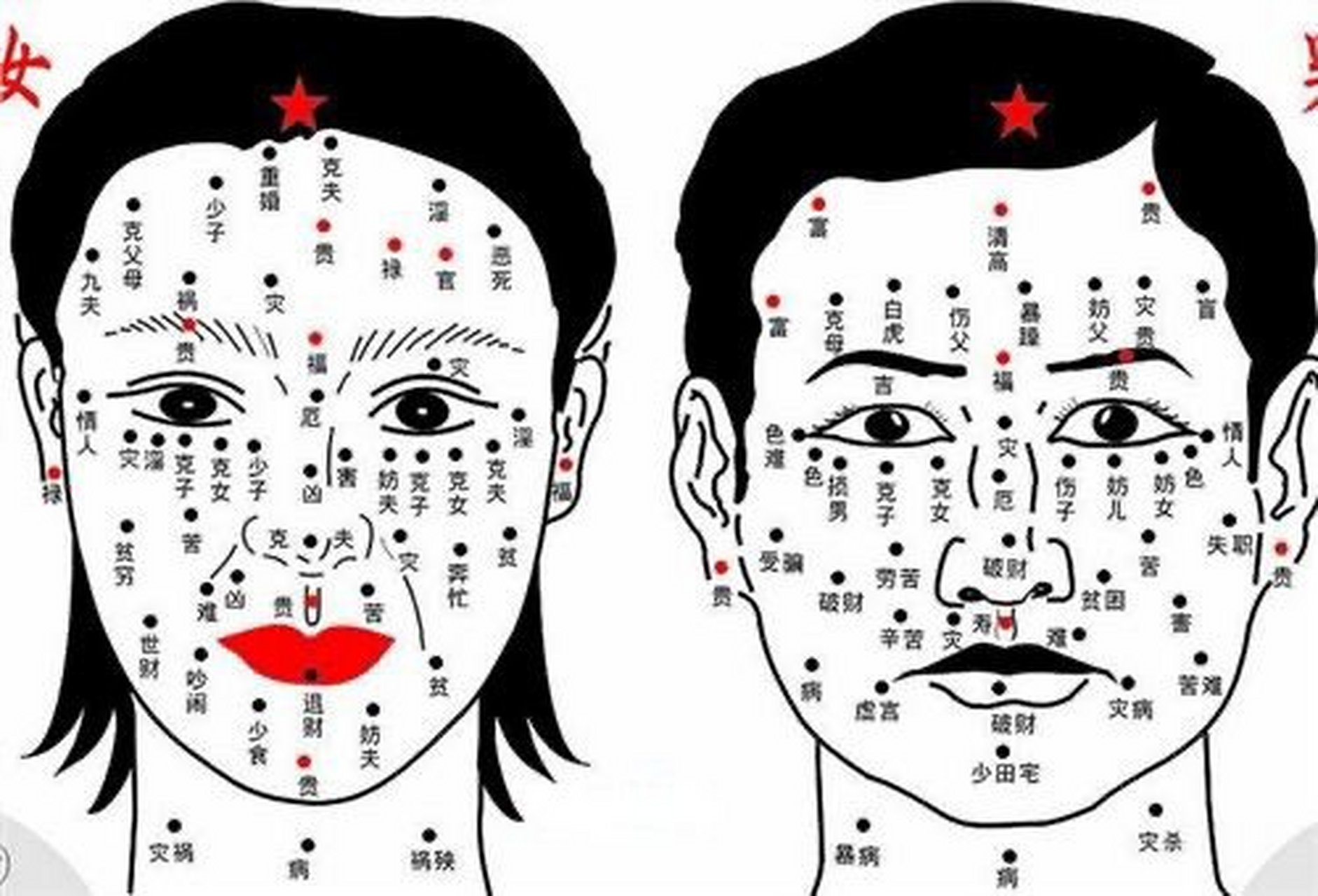 女人面相痣:女人面相痣图解
