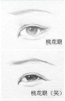 桃花眼:桃花眼有哪些特征