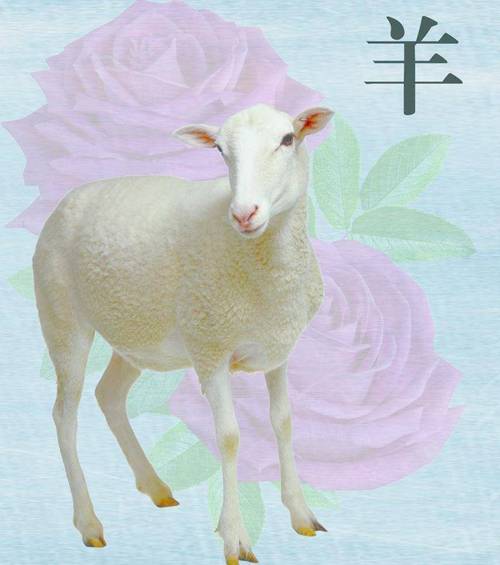 属羊女的最佳婚配属相