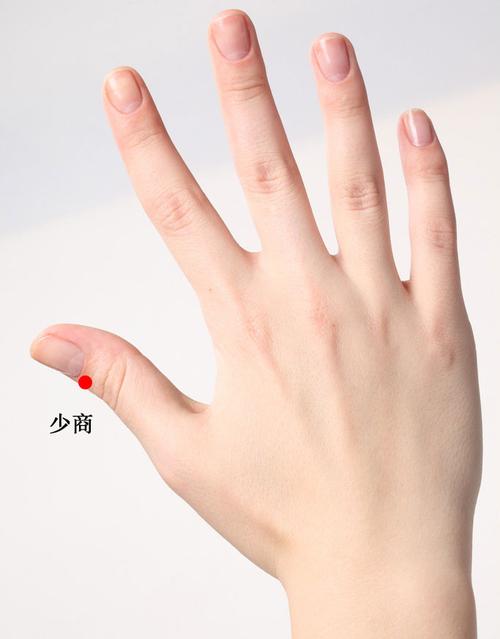 少商的准确位置图