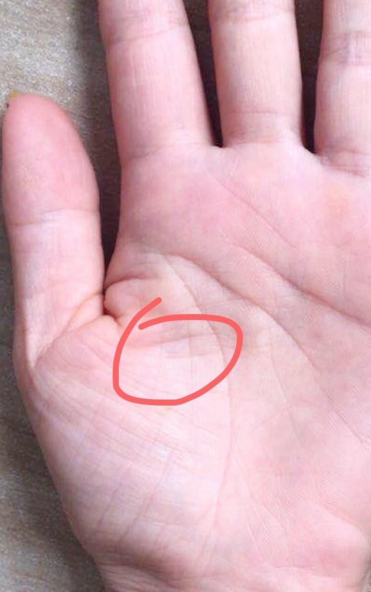 手纹:手纹测命图解