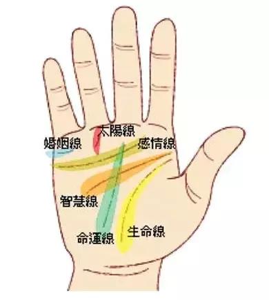 女性健康看掌纹 最精准的断掌的女人手相看命运
