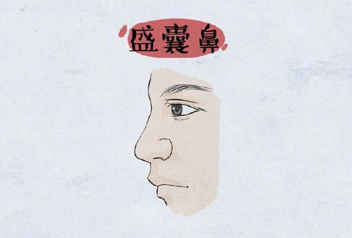 鼻加囊盛囊鼻面相图解