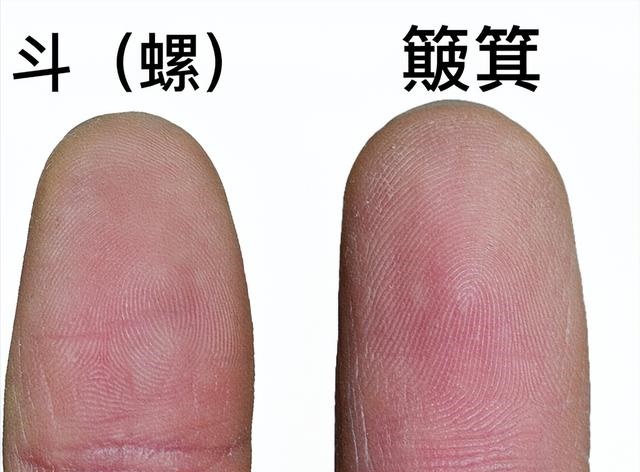 簸箕和斗手指簸箕和斗有什么区别