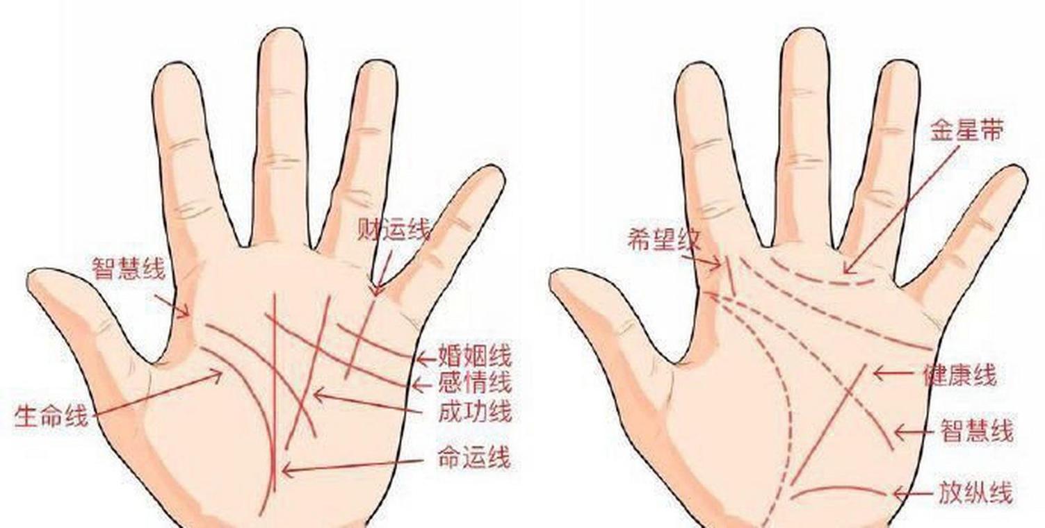 婚姻线图解婚姻线有几条婚姻生活如何