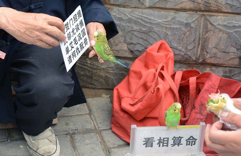 生辰八字算命免费 免费算生辰八字详解