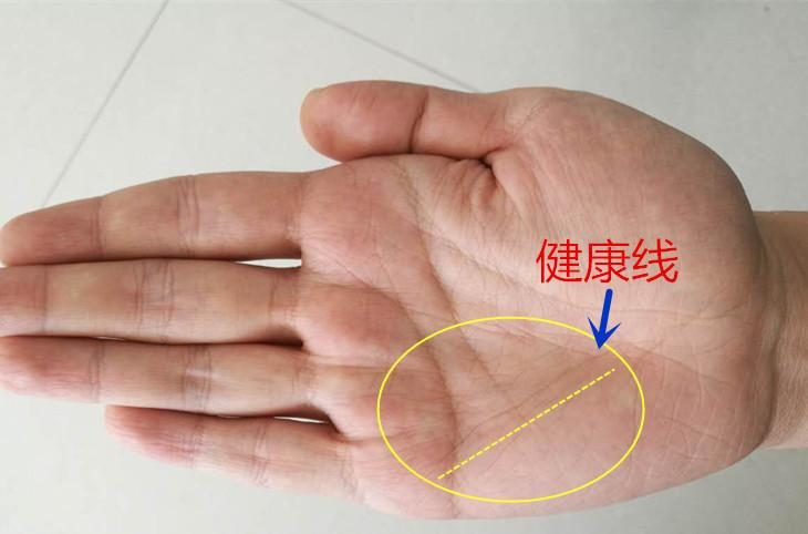 健康线图解手相健康线算命图解