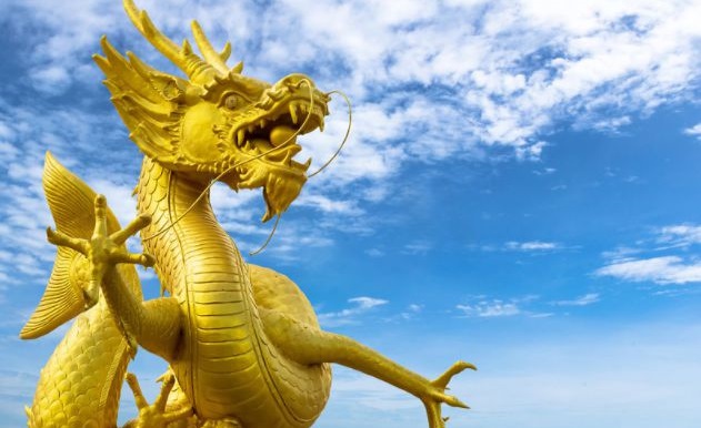 属大龙的今年多大 属大龙的今年多大了2024年