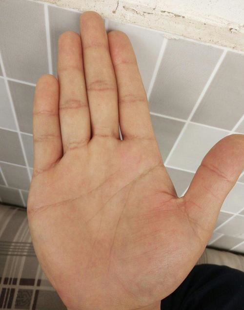 智慧线图解手相智慧线断开图解