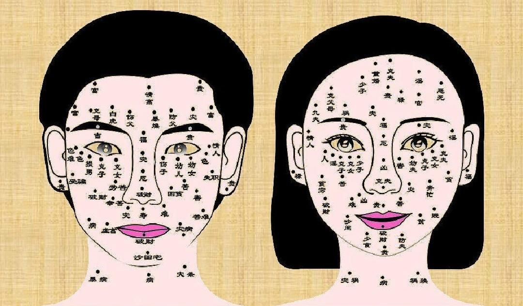 标准女人面相痣图解