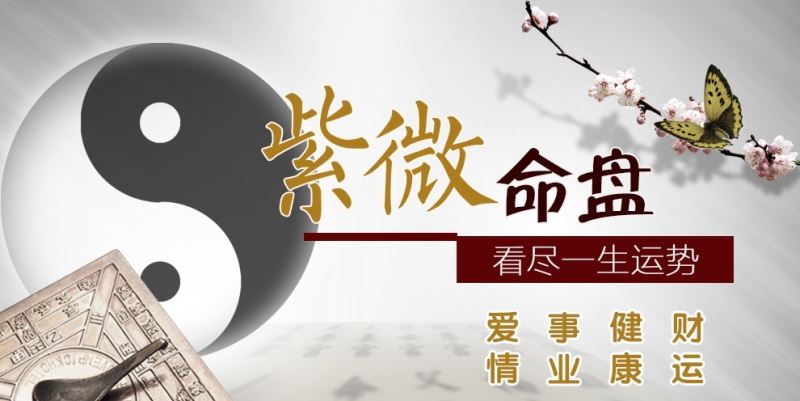 紫微斗数排盘免费详批