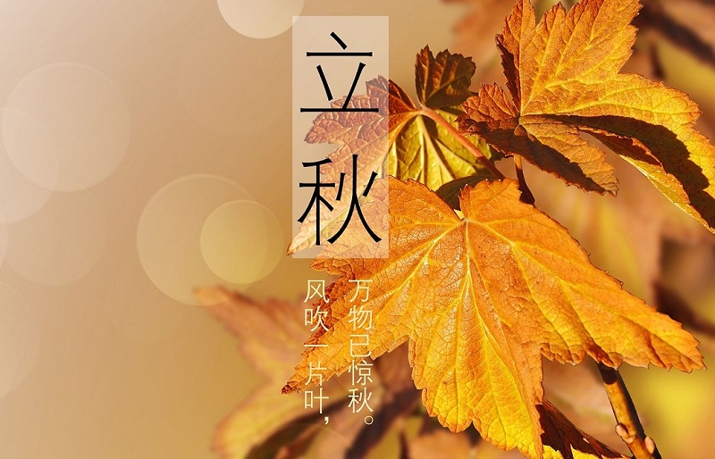 今年立秋是几月几日几点