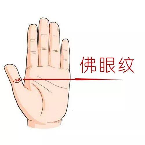 千年罕见的手相佛眼纹