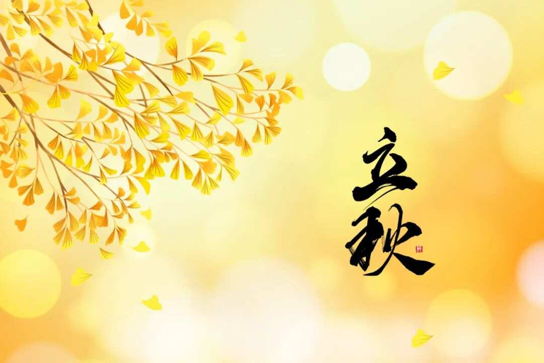 晚立秋热死牛为什么说晚立秋热死牛