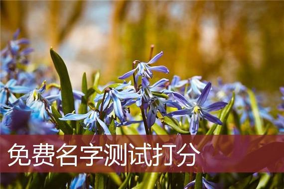 姓名解析免费,姓名分析免费测试