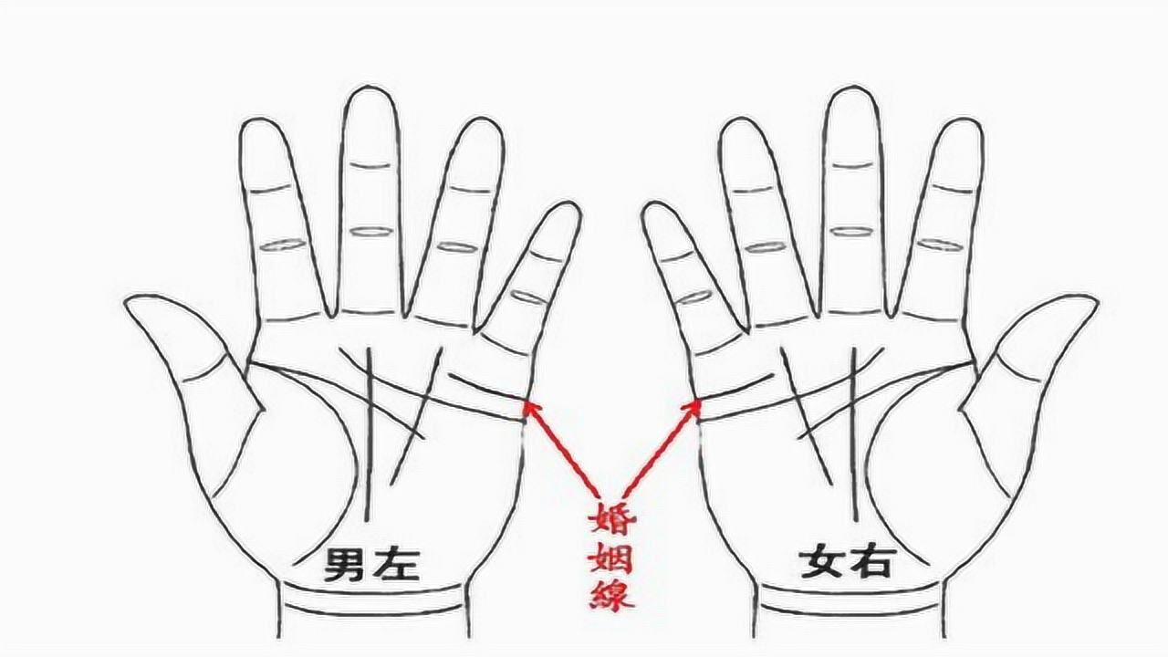 女人右手掌纹图解,女人右手掌纹解析