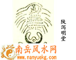 陡泻明堂