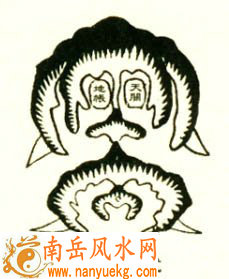 什么是龙剥换