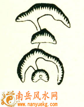 弱龙格