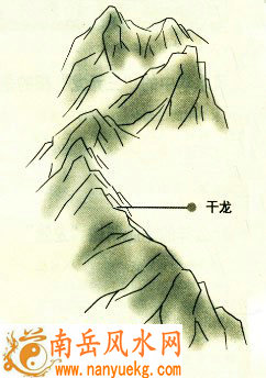 什么是干龙