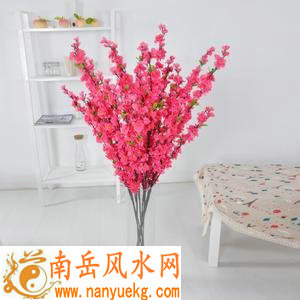 卧室怎么催旺桃花