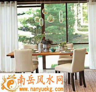 餐厅适合摆放什么植物