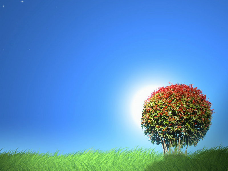 1a99���ƺ���⼪�׻�Ӱ�쵽���ƺ�����Ʒ������ʮ����