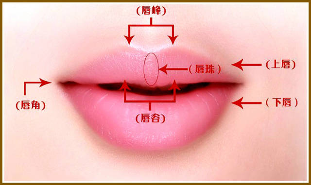 ϲȵ�������������Ӱ�����ǵ���Ϸƫ�����ˮ����(ϲȵ�����������Ӱ����Ϸ���ƺͷ�ˮ����)